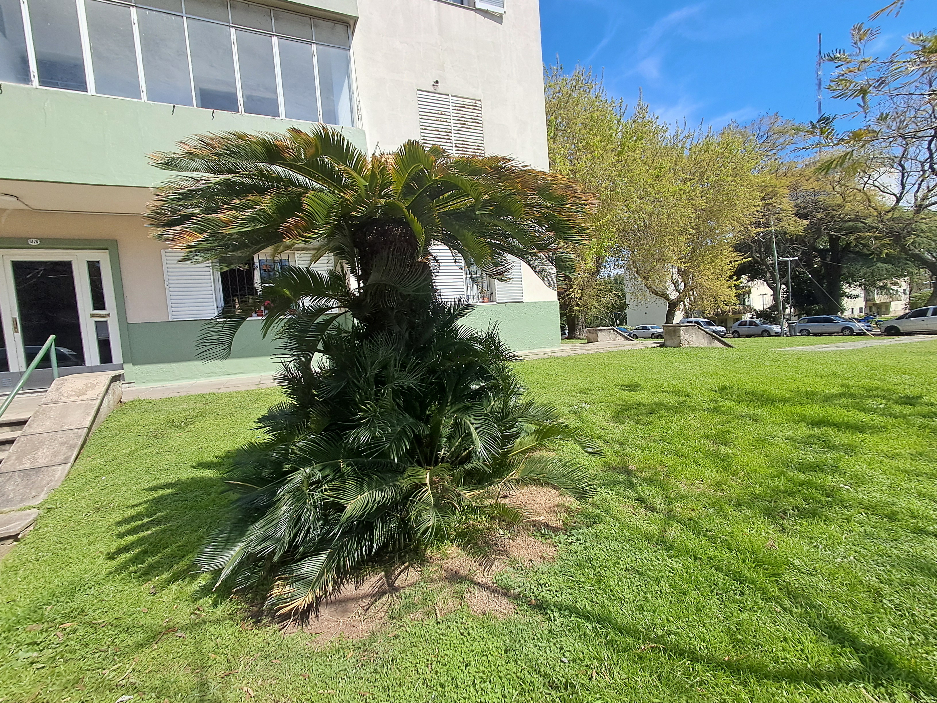 Dpto. de 3 Amb. Av. Constituyentes 6100, Piso 1